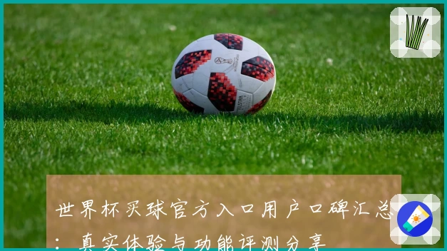世界杯买球官方入口用户口碑汇总：真实体验与功能评测分享