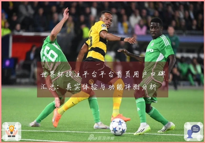 世界杯投注平台平台首页用户口碑汇总：真实体验与功能评测分析