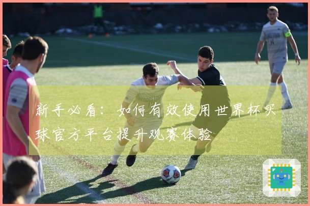 新手必看：如何有效使用世界杯买球官方平台提升观赛体验