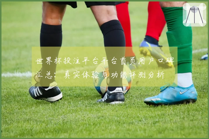 世界杯投注平台平台首页用户口碑汇总：真实体验与功能评测分析