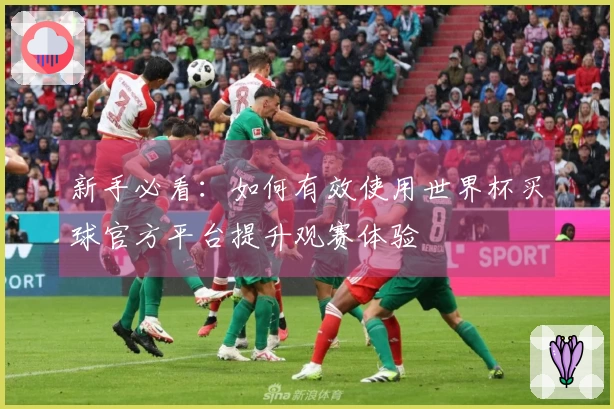 新手必看：如何有效使用世界杯买球官方平台提升观赛体验